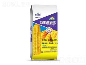 ����ø�����ᾏ��ጷ�-��ʢ�ʘI(y��)