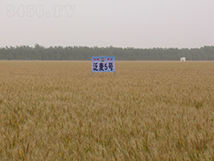 ����5̖(h��o)-С���N��-���r(n��ng)�l(f��)