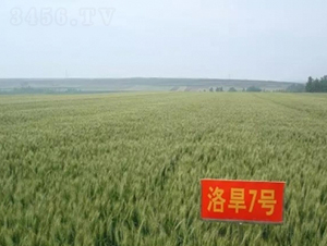 �庵7̖-С���N��-���r(n��ng)�l(f��)