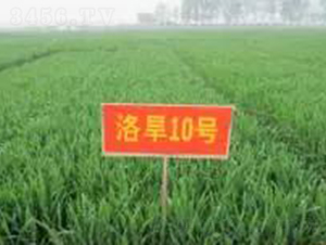 �庵10̖-С���N��-���r(n��ng)�l(f��)