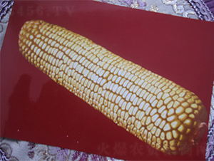 �r(n��ng)��3-���׷N��-�r(n��ng)��N�I(y��)