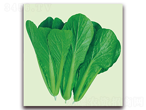 ����-С�ײ˷N��-����˹