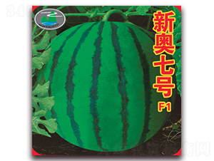 �W��̖-���ϷN��-����˹