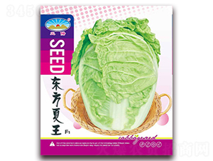 �|������-�ײ˷N��-��ͷN�I(y��)