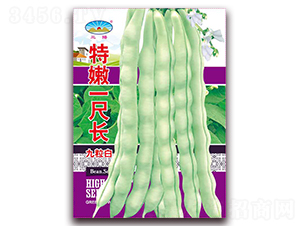 ����һ���L-���ǷN��-��ͷN�I(y��)