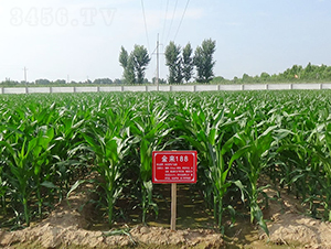 ����188-���׷N��-�����N�I(y��)