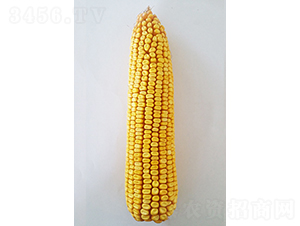 ���208-���׷N��-���N�I(y��)