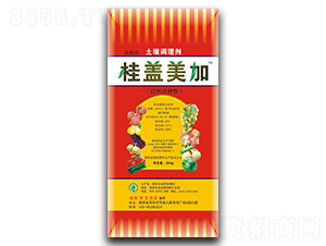 �����{(di��o)�턩-���w����-�s��