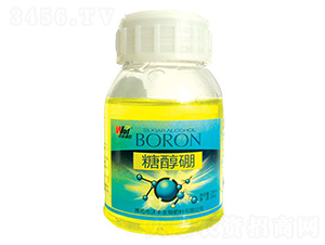 �Ǵ���-���S���r(n��ng)-���S����