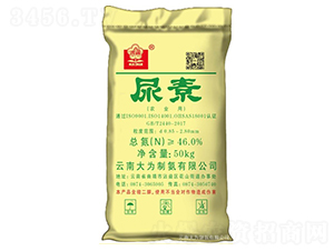 46%����-����ư�