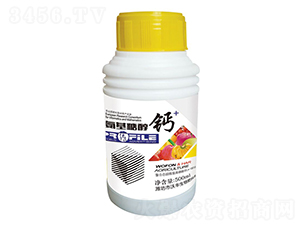 �����Ǵ��}-���S����