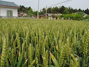 ������6̖-С���N��-�����r(n��ng)�I(y��)