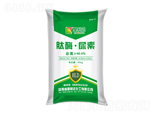 ��ø������-�d�l(f��)����_(d��)