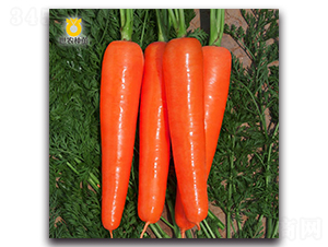 �￨��-���}���N��-���r(n��ng)�N��