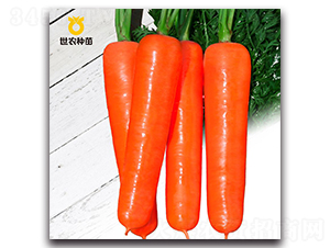 �t��-���}���N��-���r(n��ng)�N��