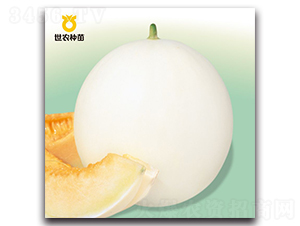 ��˹��-��ϷN��-���r(n��ng)�N��