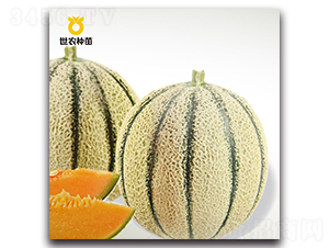 ���[-��ϷN��-���r(n��ng)�N��