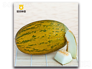 ��-��ϷN��-���r(n��ng)�N��