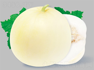 ��������-��ϷN��-����N�I(y��)