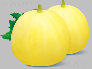 ����22-��ϷN��-����N�I(y��)