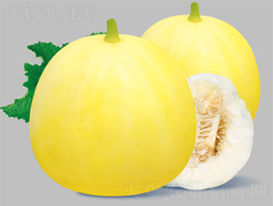 �ǳ�����-��ϷN��-����N�I(y��)