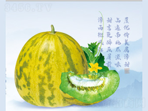 �����A��-��ϷN��-����N�I(y��)