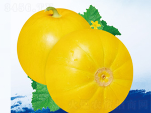 �S������̖(h��o)-��ϷN��-����N�I(y��)