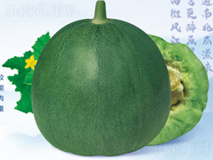 ���Ǵ���-��ϷN��-����N�I(y��)