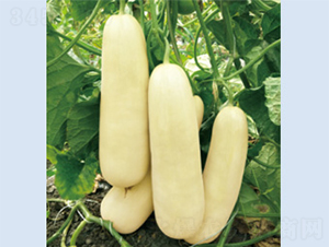 �����10-��ϷN��-����N�I(y��)