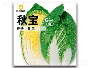 �-�ײ˷N��-���r(n��ng)�N��