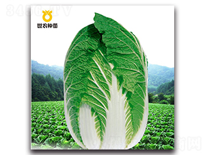 SN��-�ײ˷N��-���r(n��ng)�N��