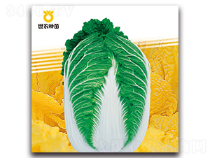 ���M�@-�ײ˷N��-���r(n��ng)�N��