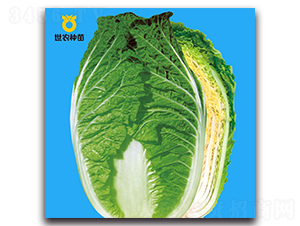 ӭ��526-�ײ˷N��-���r(n��ng)�N��