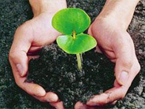 �Ϲ��ЙC(j��)��-�ɺ�