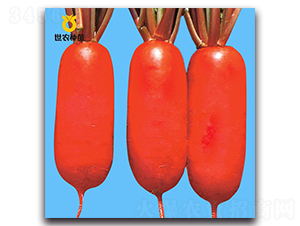 ���t-�}���N��-���r(n��ng)�N��