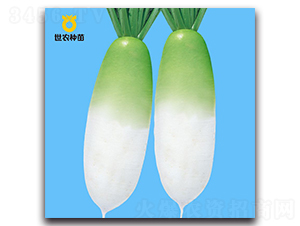 Ӣ�|-�}���N��-���r(n��ng)�N��