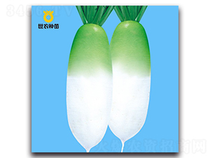 ����-�}���N��-���r(n��ng)�N��