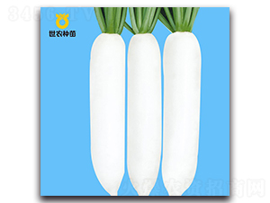 ������-�}���N��-���r(n��ng)�N��