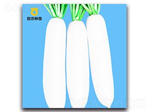 ��ɽ��ѩ-�}���N��-���r(n��ng)�N��