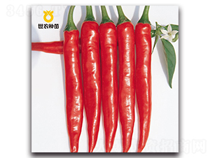 SN�t��-�����N��-���r(n��ng)�N��