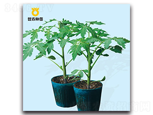 ����2̖(h��o)-������ľ�N��-���r(n��ng)�N��