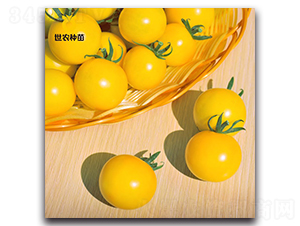 ���-���ѷN��-���r(n��ng)�N��