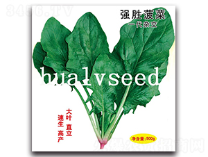 ��(qi��ng)�ٲ���-���˷N��-�A�G