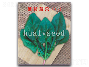 ���ز���F1-���˷N��-�A�G