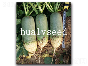 ���H��̖(h��o)-�}���N��-�A�G