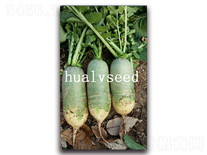 �A�G����-�}���N��-�A�G