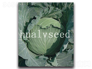 ��Խ���{(l��n)-���{(l��n)�N��-�A�G