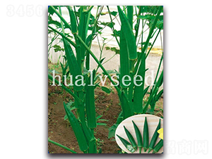 ��G����S���-�S����N��-�A�G