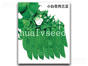 С�׻����m��-���m���N��-�A�G