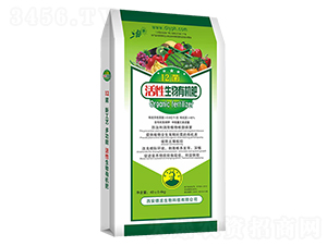 12�������ЙC(j��)��-����-��������